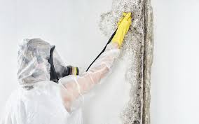 Best HVAC Mold Inspection and Cleaning  in Kalama, WA